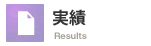 実績